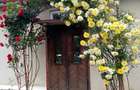 Casa Agrisu Mare Arad - 6