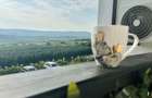 Apartament 2 camere, balcon si gradina in Iasi - 6