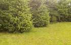 Vand teren intravilan unicat 1200 mp Glina - 10