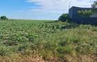 Teren agricol 1000mp, acces asfaltat, 35.000 EUR - 6