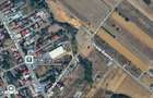 Teren intravilan 430 mp | Direct la asfalt | Str. Codrului, Berceni - 2