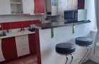 Garsoniera de inchiriat str Daliei, Terezian - 5