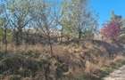 Teren 1300mp Strada Faget Sighet Intravilan!
