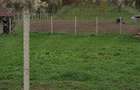 Vand teren construibil, gradina, agricol, livada, central, totul intabulat 3.000mp - 5