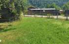 Casa cu 2 camere, teren 3000 mp, padure - 14