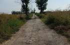 Teren de 1000 mp, în Frumușani - 4