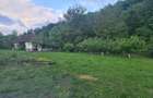 Vand casa cu gradina - 2