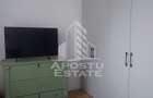 Studio in Remetea Mare - 3