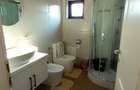 Inchiriez apartament la casa pe perioada scurta chiar zilnic in Livada jud.Arad in regim hotelier - 6