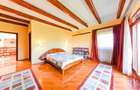 Vila/Proprietate Speciala, 500mp utili, 3300mp teren, Sangeorgiu de Ms