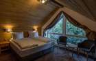 Cabana, pensiune, casa de vacanta, afacere la cheie- Belis - 4