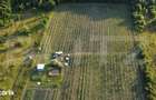 Afacere la Cheie: Plantatie Afine 1.93 Ha Profit Garantat - 2