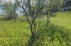 Teren de vanzare-zona Schiulesti Prahova - 3