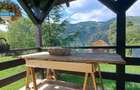 Villa for sale, 12 Rooms, 522 sqm, 1300 sqm, Șimon - 1