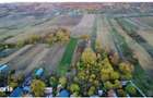 Teren extravilan arabil Balesti, Gorj - 3084604 - 1