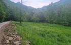 Teren Raul Mare Retezat - 3
