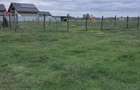 Teren Intravilan 1000 mp Harman - 1