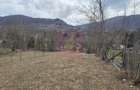 Teren intravilan de vanzare in Valea Doftanei - 11