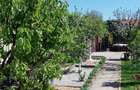 Casa de vanzare Buftea - Manastirea - 4