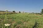 Teren intravilan in Izvorani Delta Snagov
