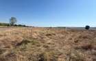 Teren De vanzare In Barlad strada Capitan Grigore Ignat nr 47 - 6