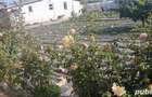Proprietar vand casa in Topraisar- Constanta - 3