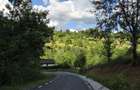 Vand teren intravilan Coas Maramures - 1