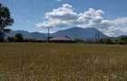 Teren de vanzare 604 m si 546 m intravilan , curent si apa