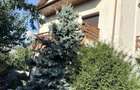 Vand apartament 3 camere