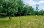 Casa de Vacan?a Teren 2.952 mp Cerna Vaideeni Jud Valcea 70.000 E - 19
