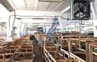 Hala de vanzare Productie Depozitare Calea Clujului Oradea - 2