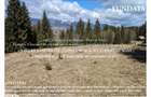 Teren intravilan 4.000 mp FUNDATA | vedere Piatra Craiului | proiect | - 3