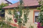 Casă individuală cu 2 camere cu Canalizare în Andrei Mureșanu - 3