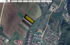 Teren agricol extravilan de 3300 mp, în Pănicel - 8