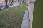 Sos.Dobroiesti - Pantelimon - Parcul Florilor - 9