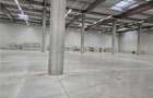 Spațiu industrial, de 7,000 mp, în Turda - 1