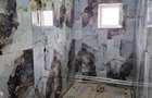 Apartament cu 3 camere decomandat în Doamna Ghica - 9