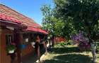 Casă cu 3 camere cu Teren 3300 Mp în Felcheriu - 10