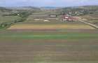 Teren 10.670 mp | Bor?a Cluj | Front 38m | Utilita?i - 5
