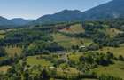 Teren intravilan de 5495 mp, în Bran - 23