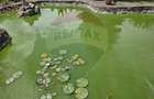 Casă individuală cu 7 camere cu Canalizare în Ghimbav Livadă - 31