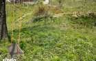 Teren intravilan 561 mp Sacele, zona Turche? (str. Morii) - 2