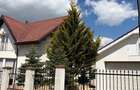 De vanzare Casa in Sanmartin Beveryhill Oferta - 1