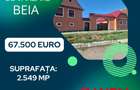Casă cu 4 camere cu Teren 2549 Mp în Beia - 1