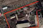 Ferma, Casa la ?ara. Poiana, Constan?a - 5