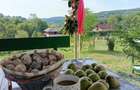 Vindem teren cu cabana Arges - 2