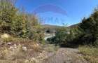 Teren intravilan Buru | ideal agrement, activita?i outdoor - 8