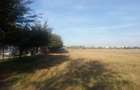 Vand teren extravilan in Braila, 5000 mp. - 2