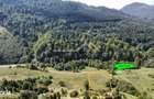 Teren Paraul Rece Rasnov 5.300mp | Priveliste | Extravilan | Curent - 5
