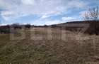 Teren intravilan 3712 mp + 2600 mp extravilan in Dobrovat - 5